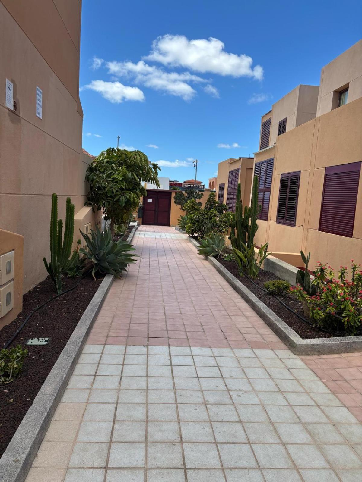 Elisabeth Apartmant Caleta De Fuste Ngoại thất bức ảnh
